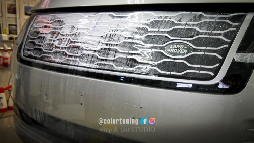 protectie grila radiator