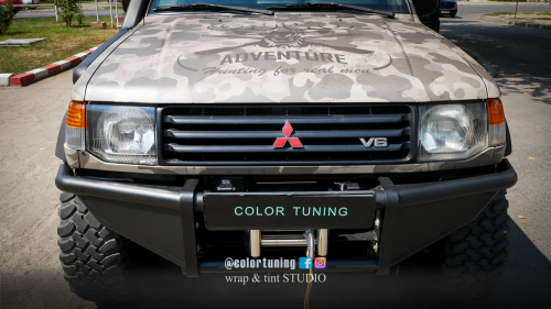 culoare + camuflaj + inscriptionare logo 