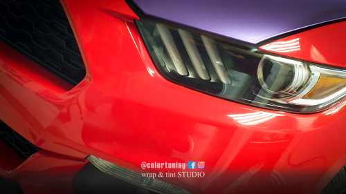 colantare capota motor Mustang
