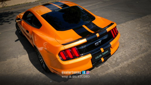 vedere de sus spate Mustang Mandarin 