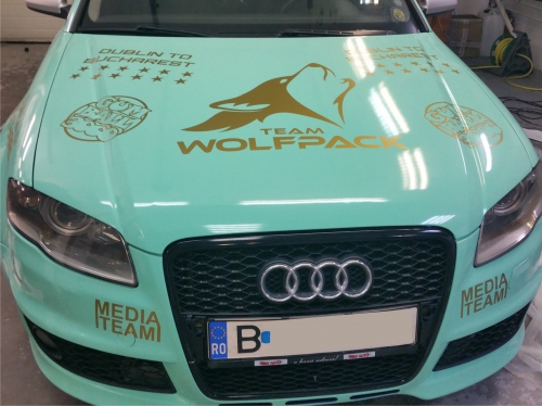 Inscriptionare auto Team Wolfpack